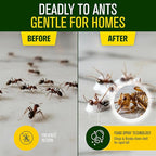 Green Guard Pest Control Spray - Indoor & Outdoor Killer of Ants, Roaches, Spiders & Other Crawling Insects, Safe Around Children & Pets, Plant-Based, Pleasant Scent (Peppermint Hit, 16oz)