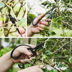 15-Piece Bonsai Tree Kit, Bonsai Tool Set, Bonsai Starter Kit, Carbon Steel Scissors, Cutter Shears, Rake with Spatula, Perfect Gardening Trimming Pruning Tools