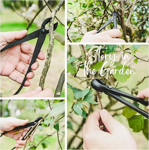 15-Piece Bonsai Tree Kit, Bonsai Tool Set, Bonsai Starter Kit, Carbon Steel Scissors, Cutter Shears, Rake with Spatula, Perfect Gardening Trimming Pruning Tools