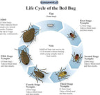 Bed Bug Killer, Fast and Sure Kill with Extended Residual Protection Bug Spray, Organic Insect Killer & Natural Roach Spray & Non-Toxic Ant Killer -22 oz