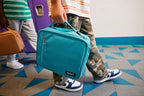 PackIt Freezable Classic Lunch Box, Daisy Sage, Built with EcoFreeze Technology, Collapsible, Reusable, Zip Closure With Zip Front Pocket and Buckle Handle, Designed for Fresh Lunch On the Go