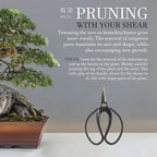 BambooMN Bonsai 7" Heavy Duty Butterfly Shear - 3 Pieces