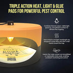 ASPECTEK Sticky Dome Flea Trap, Odorless Glue Trap with 2 Sticky Discs, Effective Bed Bug Killer and Flea and Tick Treatment, Indoor Insect Trap for Bugs, 1 Pack in Orange and Dark Gray