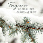 Thymes Frasier Fir All-Purpose Cleaner - Biodegradable Cleaner with Natural Essential Oils - Household Spray for Cleaning Bathrooms, Kitchens, Counters, and Other Surfaces (16 fl oz)