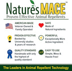 Nature’s MACE Bed Bug Killer 1 Gallon, Kill BedBugs Treatment, Mites, Eggs, Easy, Do-It-Yourself, Professional Bed Bug Spray, at-Home Solution, Mattress, Non-Toxic, Child & Pet Safe, Stain & Odor Free