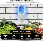 Indoor Fruit Fly & Gnat Traps Plug-in - UV/Blue Light Insect Trap with 2 Devices+6 Refills, Safe & Odorless Flying Insect Catcher for House/Kitchen/Office - Get Rid of Mosquitoes, Moths, Gnats