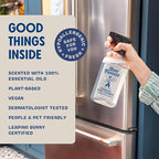 Aunt Fannie's Stainless Steel Spray Cleaner, Powered by Vinegar, Fingerprint and Residue Remover for Refrigerator, Dishwasher, Oven, Grill, Sink, Stovetop, and Other Appliances, Pack of 3