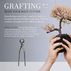 BambooMN 7.5" Root Cutter Tool - 10 Pieces