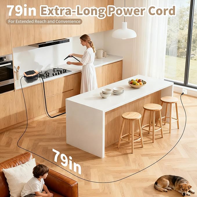 2500W Handheld Steam Cleaner, 15s Fast Heating Steam Cleaning, 1800ML Large Capacity Tank, Portable Steam Cleaner for Upholstery, Grout, Window, Grime, Grease, Bed Bugs, Car(BLACK)