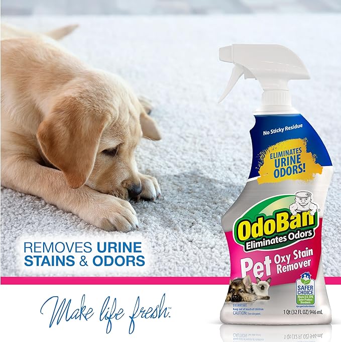 OdoBan Pet Solutions Oxy Stain Remover, Pet Stain Eliminator, Made in the USA, 8-Pack, 32 Ounce Spray Each