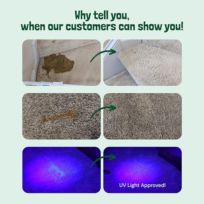 Sunny & Honey Pet Stain & Odor Miracle - 32 Fl Oz, Spring Mint Scent - Carpet Cleaner & Enzyme Spray for Carpets, Mattresses & Upholstery - Rug Shampoo & Dog Pee Cleaner & Odor Remover