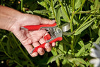 Corona Tools Lopper & Pruner Kit