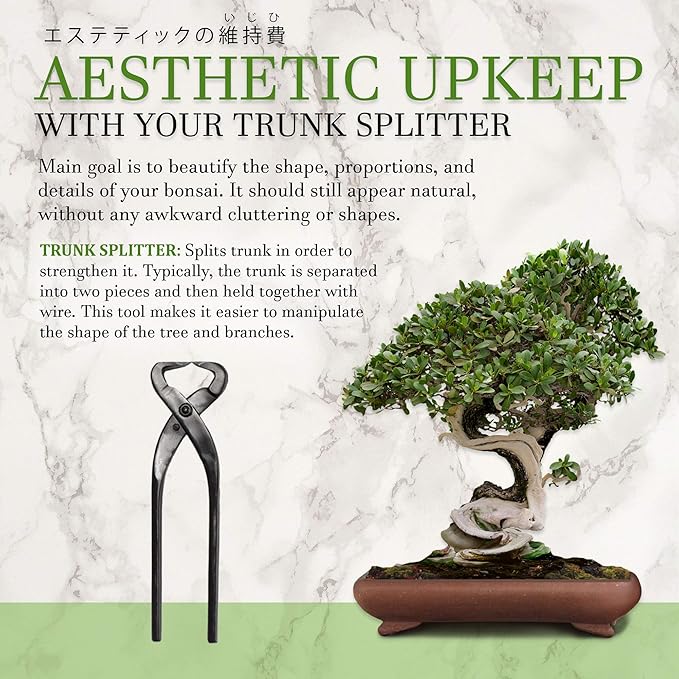 BambooMN 10.5" Trunk Splitter Tool - 10 Pieces