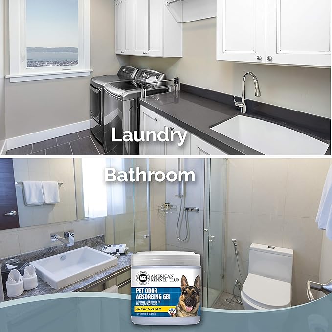 SMELLS BEGONE Pet Odor Absorber Gel - Air Freshener & Odor Eliminator - Made with Essential Oils - Fresh & Clean Scent - 15 Ounce