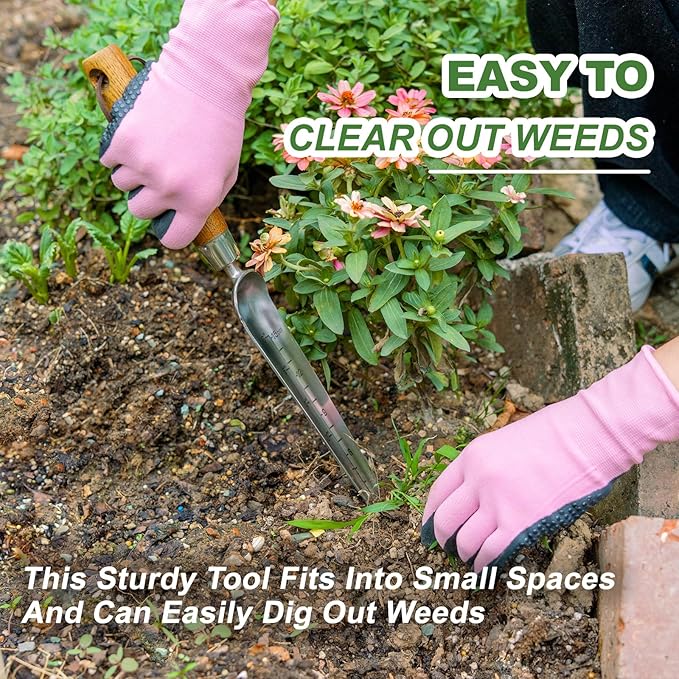 Haliaeetus Seeding Widger with 6'' Scale, Stainless Steel Planting Trowel for Repotting, Long and Narrow Widger for Weeding from Tight Areas, Hand Transplanter with Wood Handle for Planting, Digging