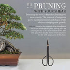 BambooMN Bonsai Basics Set - 8" Knob Cutter and 7.2" Trimming Shear - 10 Sets