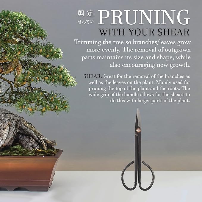 BambooMN Bonsai Basics Set - 8" Knob Cutter and 7.2" Trimming Shear - 30 Sets