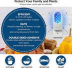 Indoor Fruit Fly & Gnat Traps Plug-in - UV/Blue Light Insect Trap with 2 Devices+6 Refills, Safe & Odorless Flying Insect Catcher for House/Kitchen/Office - Get Rid of Mosquitoes, Moths, Gnats