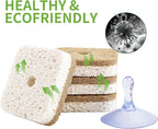 12Pack Kickleen Natural Kitchen Scrub Dish Sponge with Suction Hanger Biodegradable Compostable Cellulose and Coconut Non-Scratch Sponge for Kitchen, Bathroom, Household (White-12)