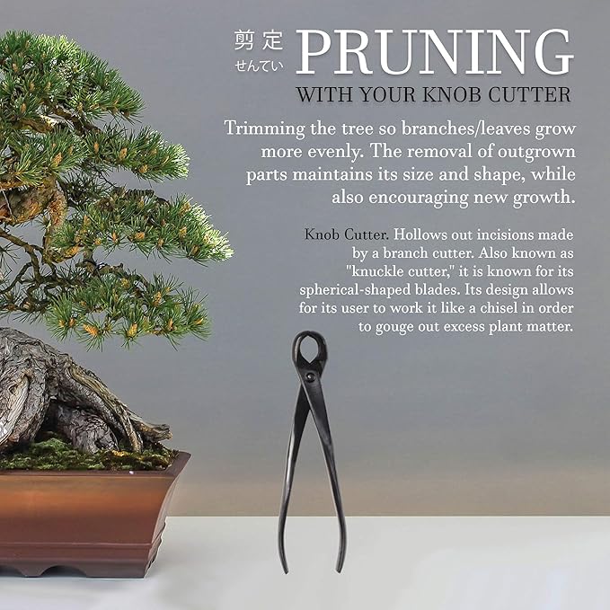 BambooMN Bonsai Tool Kit - 8" Concave Cutter & 8" Knob Cutter - 1 Set