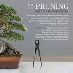 BambooMN Bonsai 8" Knob Cutter Tool - 10 Pieces