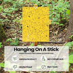 Qualirey 250 Pcs 6 x 8 Inch Sticky Traps for Gnats Dual Sided Fruit Fly Sticky Traps for Indoor and Outdoor Plant with Twist Ties and Plastic Holders for Flying Plant Insect, Fungus Gnats (Yellow)