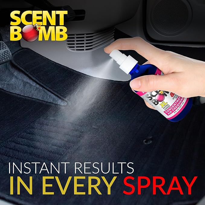 Scent Bomb Air Freshener Spray, Long-Lasting Odor Eliminator for Home & Car, Effective Deodorizer for Kitchen, Bathroom, Fresh Room Spray & Smell Neutralizer, Pomegranate Scent