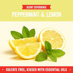 Rebel Green Natural All-Purpose Cleaning Spray - Plant-Derived Multi-Surface Cleaner with Essential Oils for Kitchen, Bath, Countertops and More - Peppermint & Lemon Scent - 16 oz - 1 Pack