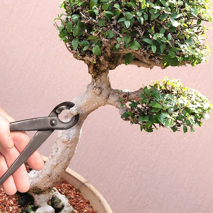 BambooMN Bonsai Tool Kit - 8" Concave Cutter & 8" Knob Cutter - 30 Sets