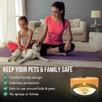 ASPECTEK Sticky Dome™ Flea Trap, Odorless Glue Trap with 2 Sticky Discs, Effective Bed Bug Killer and Flea and Tick Treatment, Indoor Insect Trap for Bugs, 2 Packs in Orange and Dark Gray
