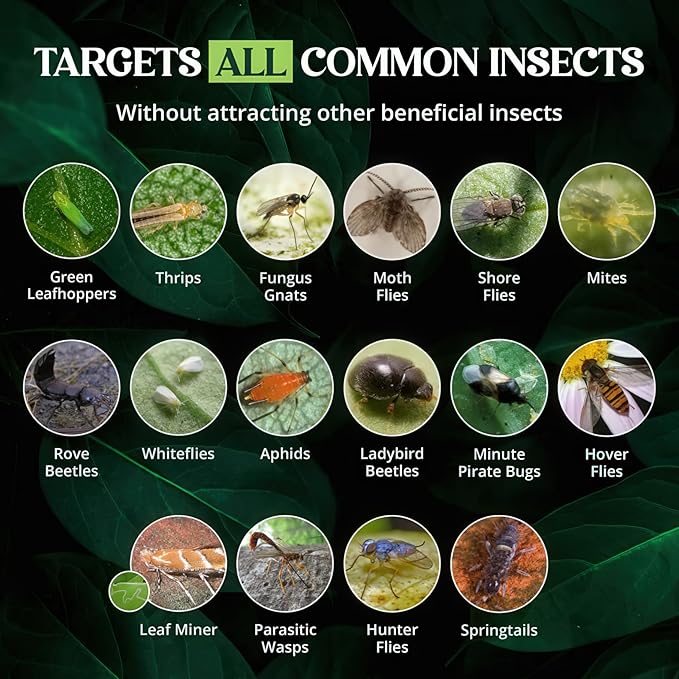 Catchmaster GRO Blue Regular Double Sided Sticky Traps 72PK, Adhesive Bug & Fruit Fly Trap, Pest Control for Home, Farm, Garden, Hydroponics & Greenhouse, Protect Live Plants Indoor & Outdoor