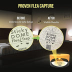 ASPECTEK Sticky Dome™ Flea Trap, Odorless Glue Trap with 2 Sticky Discs, Effective Bed Bug Killer and Flea and Tick Treatment, Indoor Insect Trap for Bugs, 2 Packs in Orange and Dark Gray