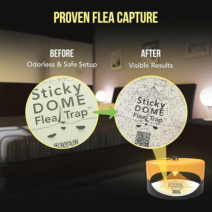 ASPECTEK Sticky Dome™ Flea Trap, Odorless Glue Trap with 2 Sticky Discs, Effective Bed Bug Killer and Flea and Tick Treatment, Indoor Insect Trap for Bugs, 2 Packs in Orange and Dark Gray