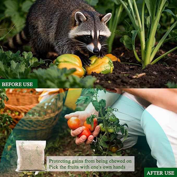 Natural Raccoon Repellent Granules | Eco-Friendly, Non-Toxic & Long-Lasting Protection with Garlic, Peppermint & Wintergreen Oils | Safe for Pets and Children |10-Pack (25g per Bag)