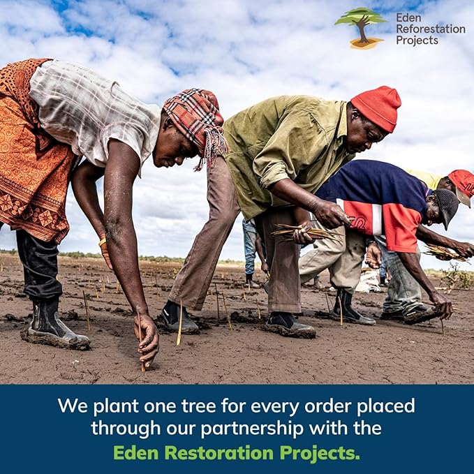 EVERSPROUT 1.5-to-3 Foot Swivel Squeegee and Microfiber Window Scrubber (8-10 Ft Standing Reach) | 2-in-1 Window & Glass Cleaning Combo | Lightweight, Aluminum Extension Pole | Includes 10-inch Blades