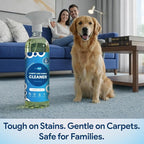 stain remover spray – Spot Cleaner for Carpet, Upholstery, Rugs & Fabric | Pet Stain & Odor Remover | Just Add Water Starter Kit with Refillable Bottle & Concentrated Pod 33 fl oz