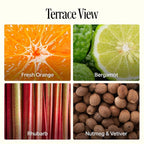Preston Lane Luxury Dish Soap, Terrace View Scent – Plant-Powered Formula with Essential Oils | Tough on Grease, Gentle on Hands | Vegan, Cruelty-Free, Clean Ingredients