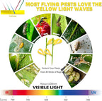 30PCS Fruit Fly Traps for Indoors Gnat Traps for House Indoor Yellow Sticky Traps for Plants Catcher for Whiteflies Fungus Gnat Mosquitoes Thrips... Stake Holders Included