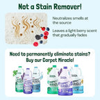 Sunny & Honey Carpet Deodorizer Powder - Pet Safe Freshener for Carpets, Pet Beds and Car Seats - Berry Odor Eliminator for Cat Urine and Wet Dog Smells (20 oz)
