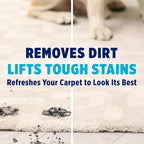 OxiClean Large Carpet Cleaner Liquid Solution for Steam Cleaning Machines, 64 fl oz