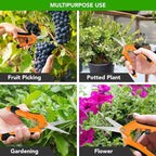 iPower 6.5 Inch Gardening Scissors Hand Pruner Pruning Shear with Straight Stainless Steel Blades, Orange, 2-Pack