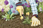 AMES 2447000 Tempered Steel Hand Weeder with Wood Handle, 12-Inch