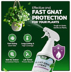 Eco Defense Gnat Spray for Indoor Plants – Fungus Gnat Killer & Houseplant Insect Control – Plant-Based Bug Spray for Houseplants & Indoor Gardening