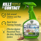 Green Guard Pest Control Spray - Indoor & Outdoor Killer of Ants, Roaches, Spiders & Other Crawling Insects, Safe Around Children & Pets, Plant-Based, Pleasant Scent (Cinnamon Might, 32oz)