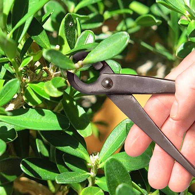 BambooMN Bonsai Basics Set - 8" Concave Cutter, 7" Heavy Duty Shear - 3 Sets