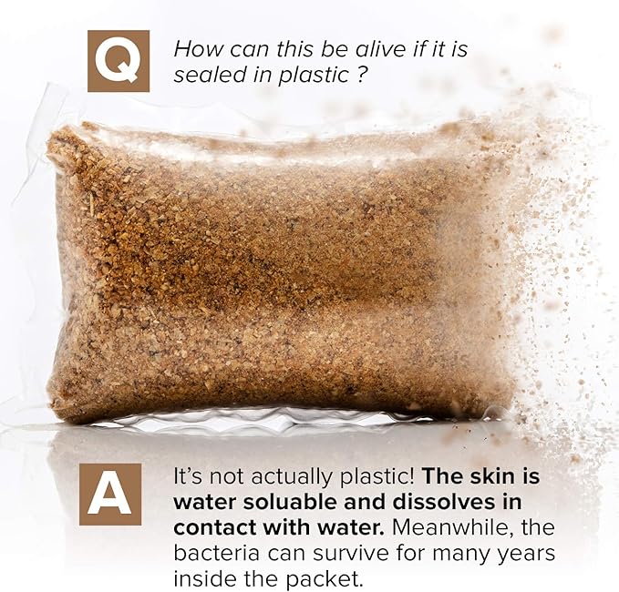 Septic Tank Treatment - 1 Year Supply of Septic Safe Dissolvable Easy Flush Live Bacteria Packets (12 Count) - Best Way to Prevent Expensive Sewage Backups - Made in USA