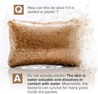 Septic Tank Treatment - 1 Year Supply of Septic Safe Dissolvable Easy Flush Live Bacteria Packets (12 Count) - Best Way to Prevent Expensive Sewage Backups - Made in USA