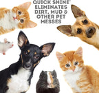 Quick Shine Plant Based Pet Floor Cleaner 27 oz, 2Pk | Ready to Use, Removes Dirt, Streak Free, No Rinse | Hardwood, Laminate, Luxury Vinyl Plank LVT, & Tile | Safer for Kids, Pets & Our Environment
