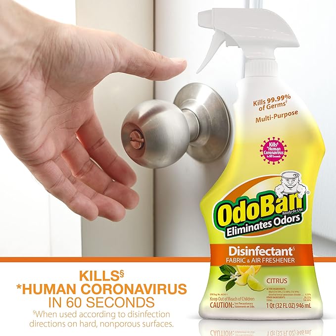 OdoBan 360-Degree Continuous Spray Natural Oil Real Citrus Orange Air Freshener, 10 Ounce, and Multipurpose Disinfectant Cleaner, 32 Ounce Spray, Made in the USA