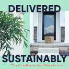 Bamboo Toilet Paper, Paper Towels, and Tissues - Compact Bundle Box for Eco-Friendly Households - 12 rolls bamboo toilet paper, 3 rolls bamboo paper towels, and 2 boxes bamboo facial tissues